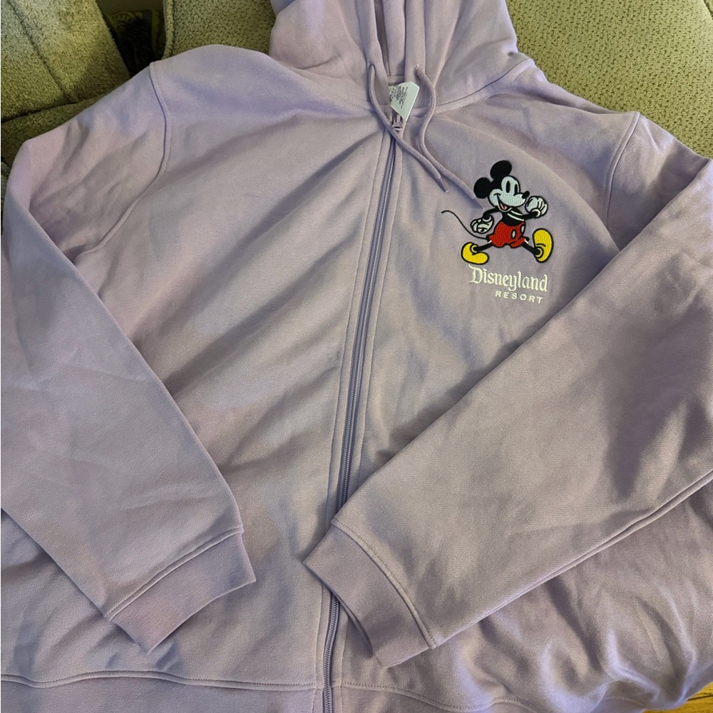 Disney Purple Hoodie